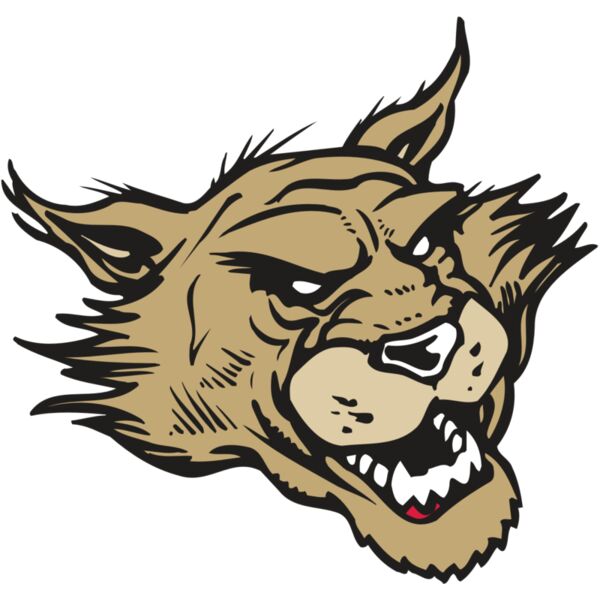 AR WILDCAT 39 RC Thumbnail